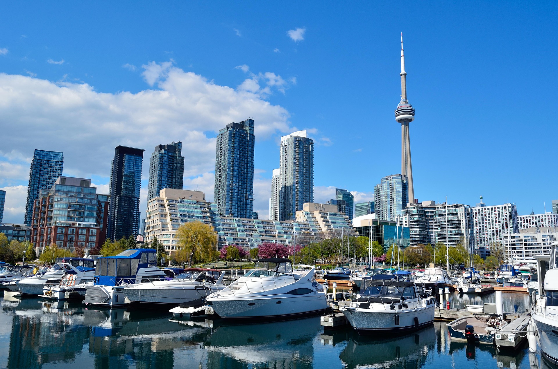 Study in Canada