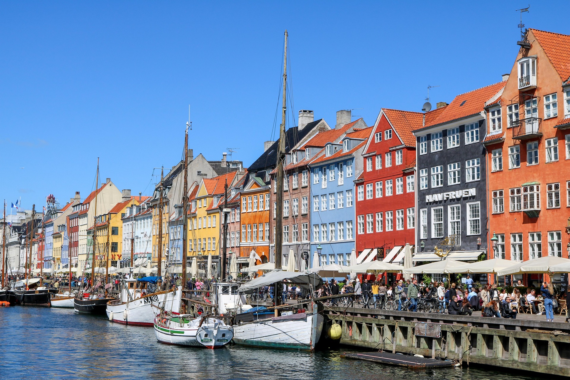 Study in Denmark